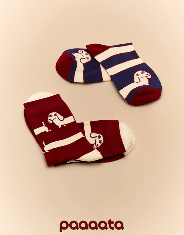 SAUSAGE DOG SOCKS– LIGHT COTTON SERIES