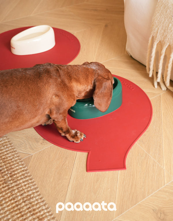 SIGNATURE BOWL & MAT FOR LONG-EARED DOGS