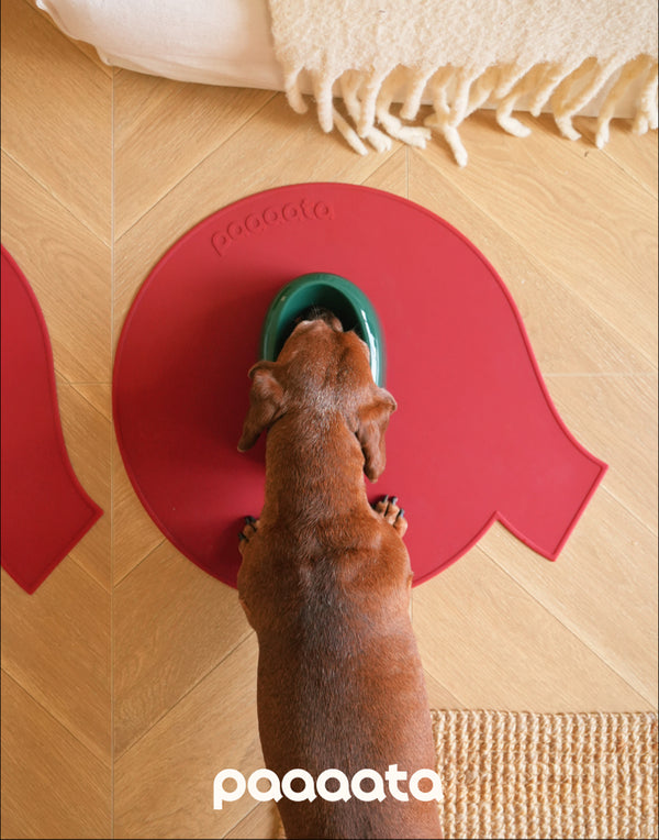 SIGNATURE BOWL & MAT FOR LONG-EARED DOGS