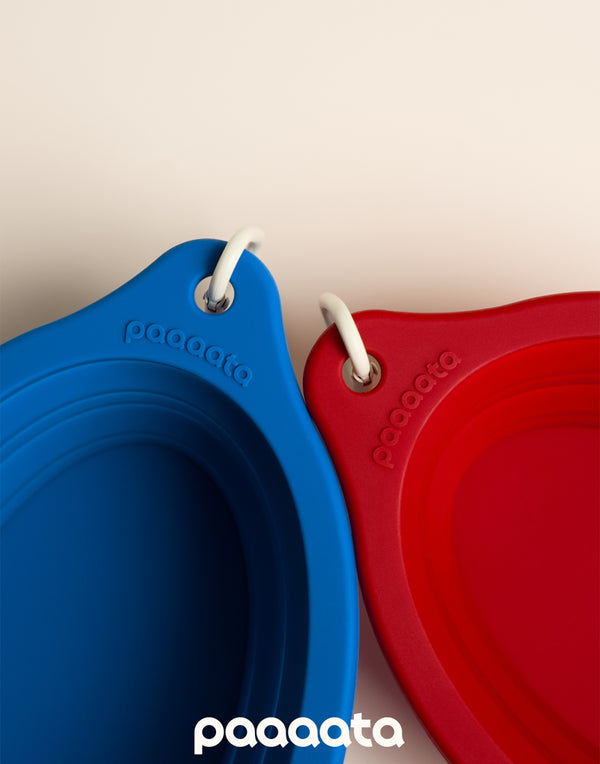COLLAPSIBLE LONG-EAR TRAVEL BOWL