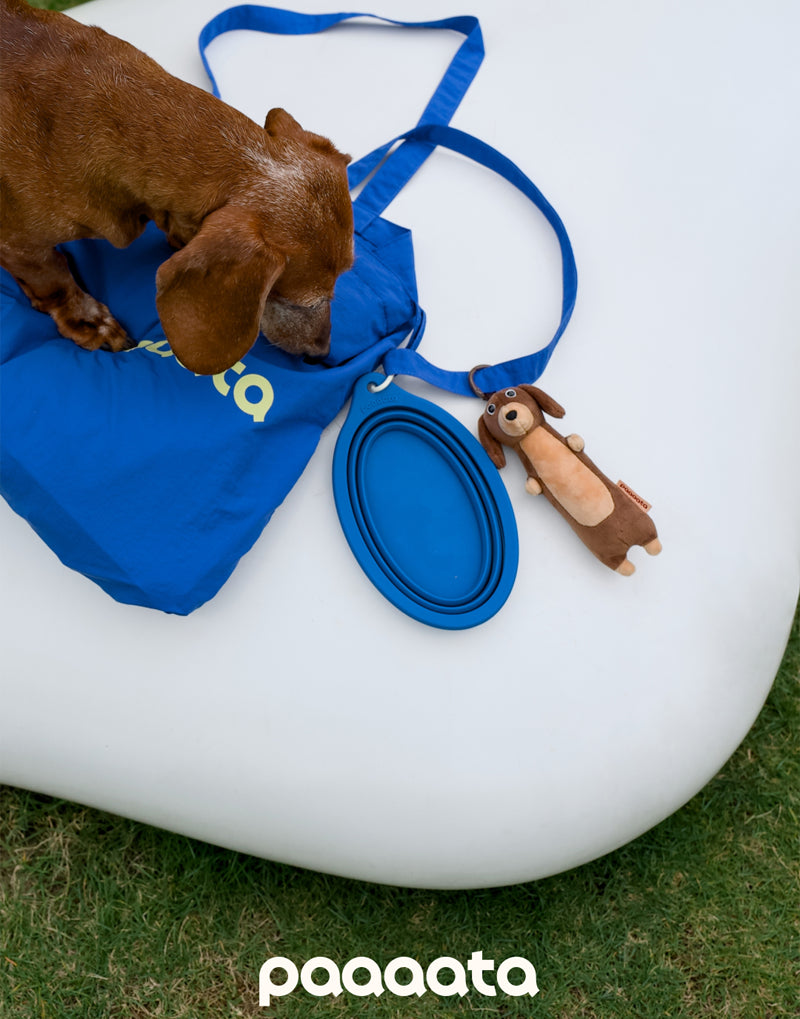 COLLAPSIBLE LONG-EAR TRAVEL BOWL