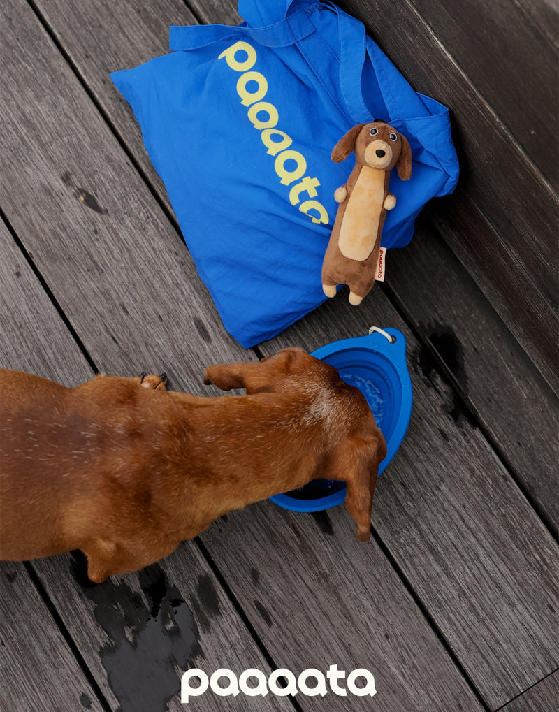COLLAPSIBLE LONG-EAR TRAVEL BOWL