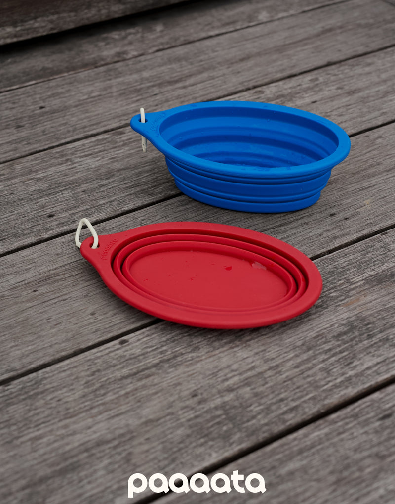 COLLAPSIBLE LONG-EAR TRAVEL BOWL
