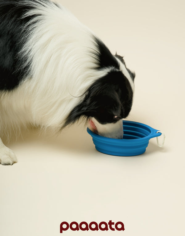COLLAPSIBLE LONG-EAR TRAVEL BOWL