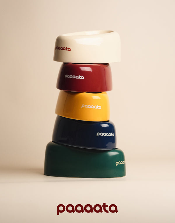 SIGNATURE BOWL & MAT FOR LONG-EARED DOGS