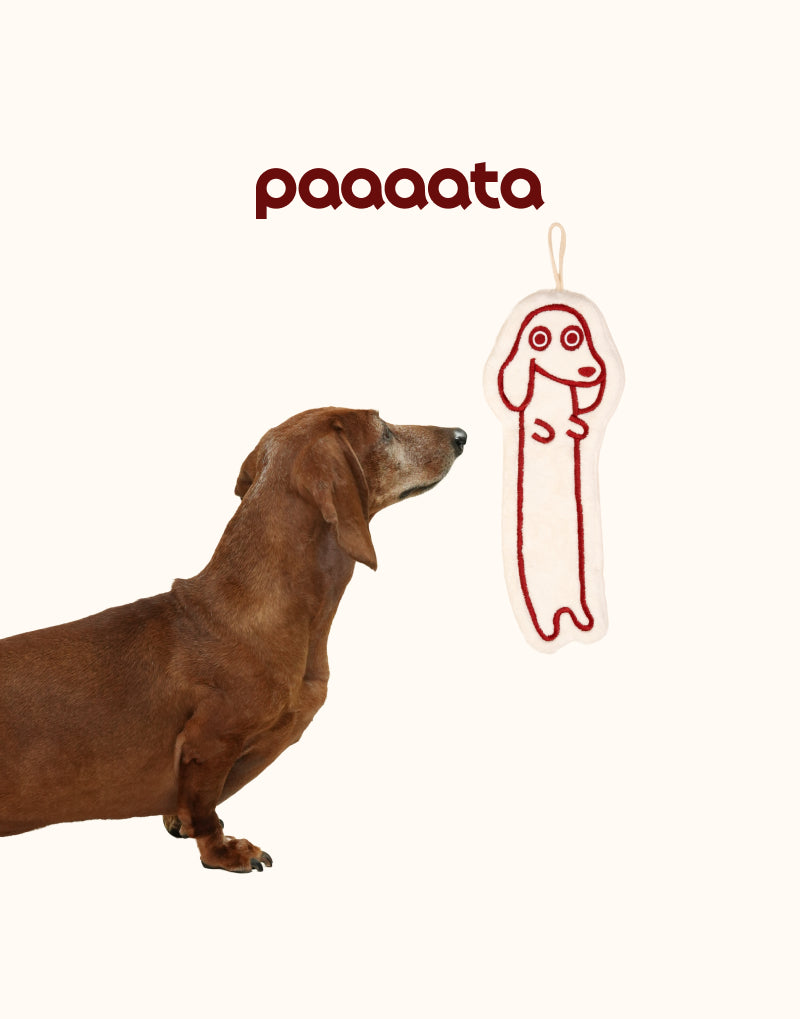 DACHSHUND PLUSH HAND TOWEL