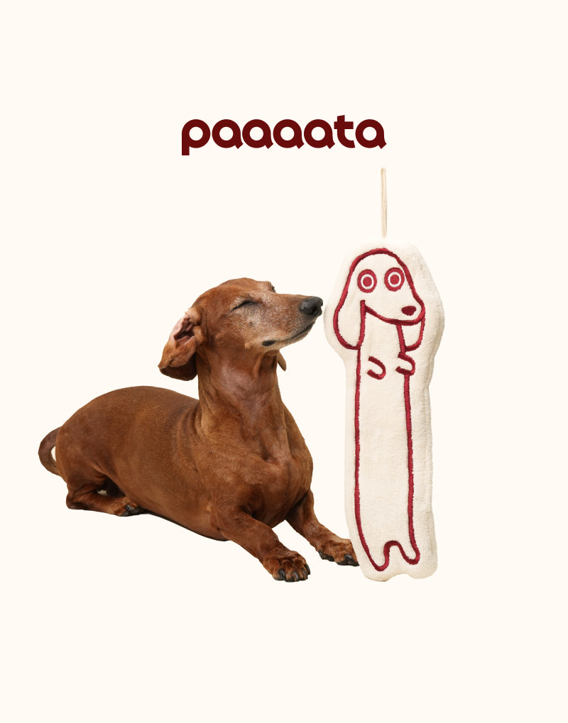 DACHSHUND PLUSH HAND TOWEL