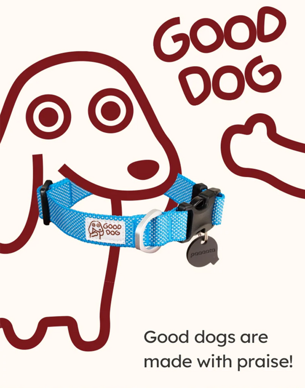 GOOD DOG TEXTURED COLLAR