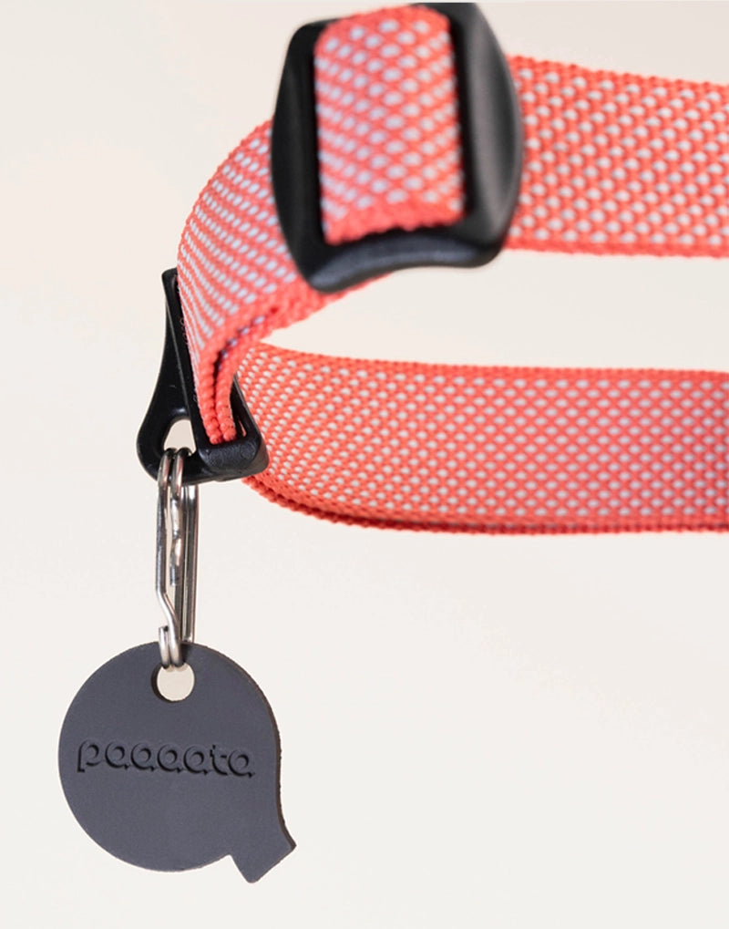 GOOD DOG TEXTURED COLLAR