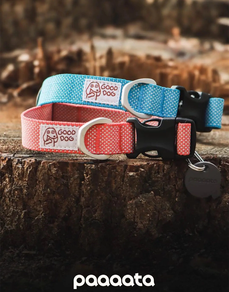 GOOD DOG TEXTURED COLLAR