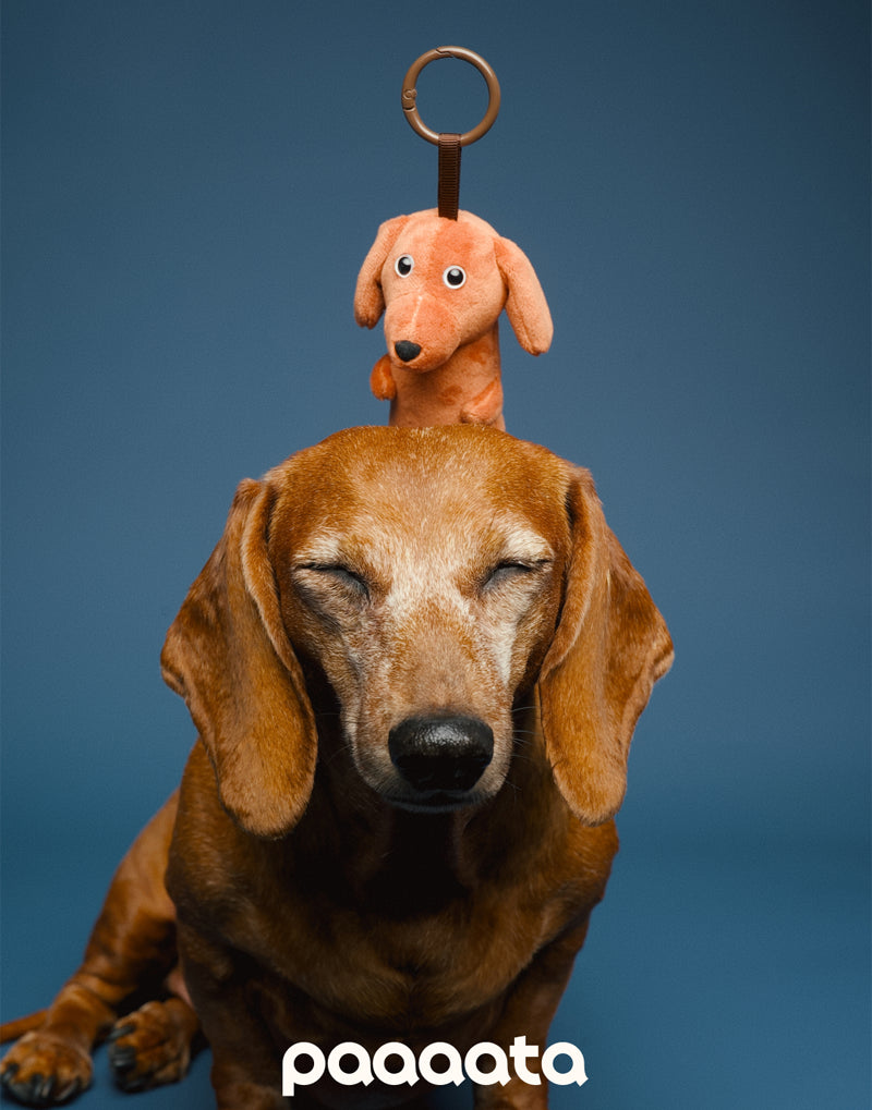 PLUSH SAUSAGE DOG CHARM