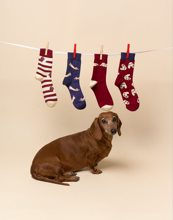 SAUSAGE DOG CHARACTER SOCKS