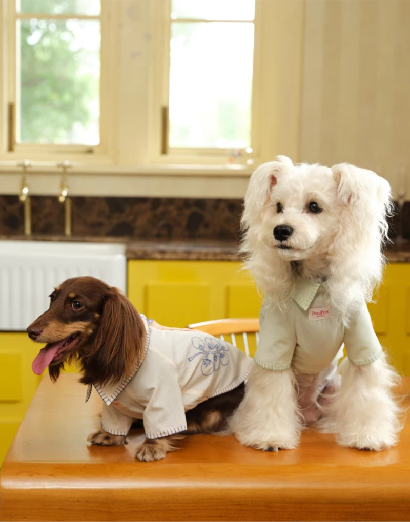 EMBROIDERED RESORT PET SHIRT
