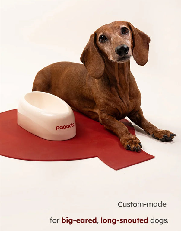 SIGNATURE BOWL & MAT FOR LONG-EARED DOGS