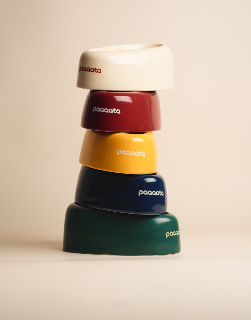 SIGNATURE BOWL & MAT FOR LONG-EARED DOGS