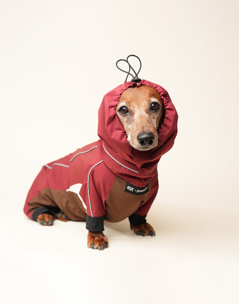 SHORT-LEGGED ALL-WEATHER DOG SUIT