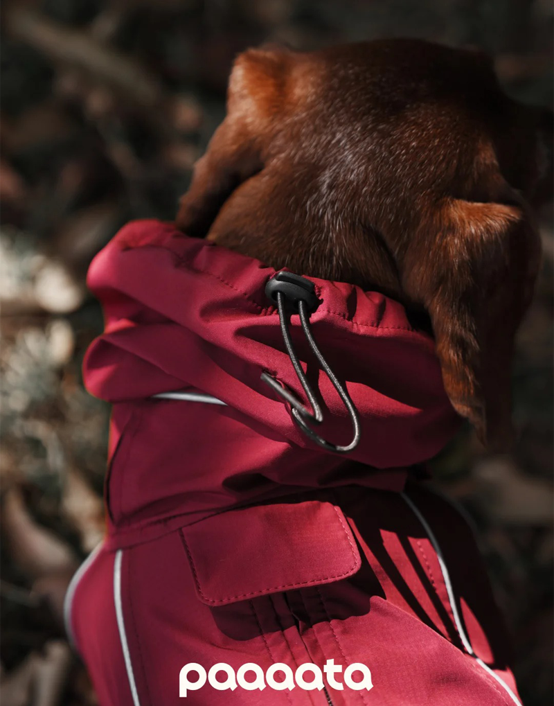SHORT-LEGGED ALL-WEATHER DOG SUIT