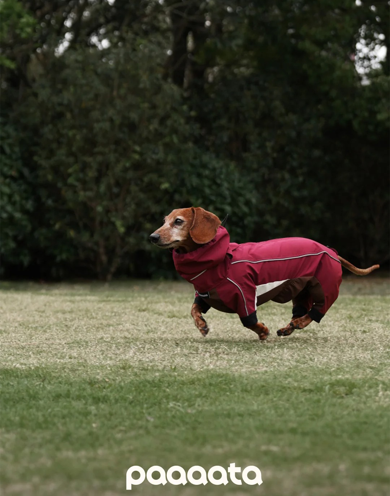 SHORT-LEGGED ALL-WEATHER DOG SUIT