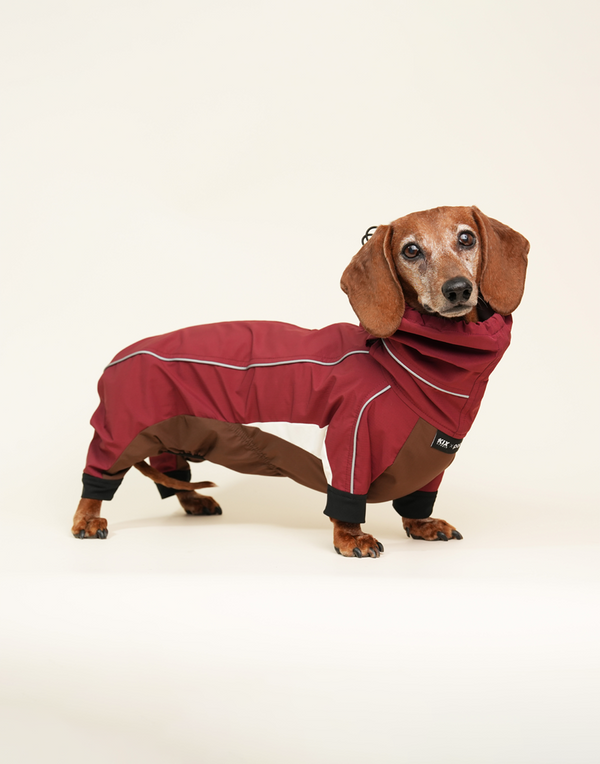 SHORT-LEGGED ALL-WEATHER DOG SUIT