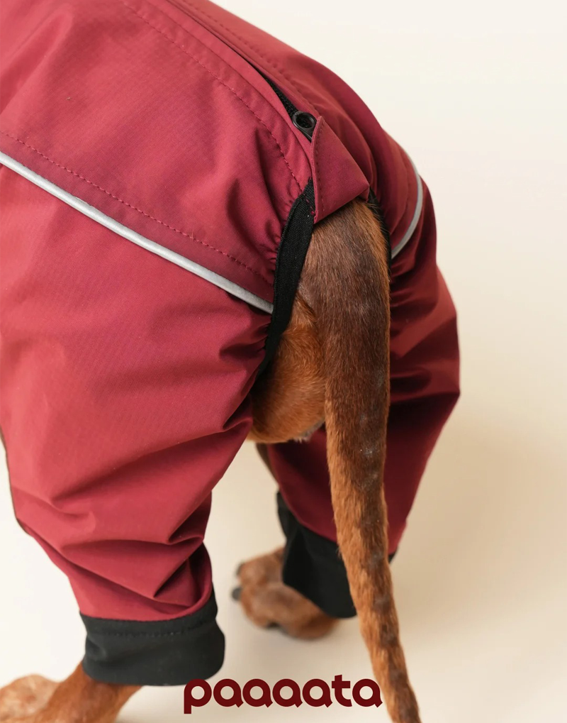 SHORT-LEGGED ALL-WEATHER DOG SUIT