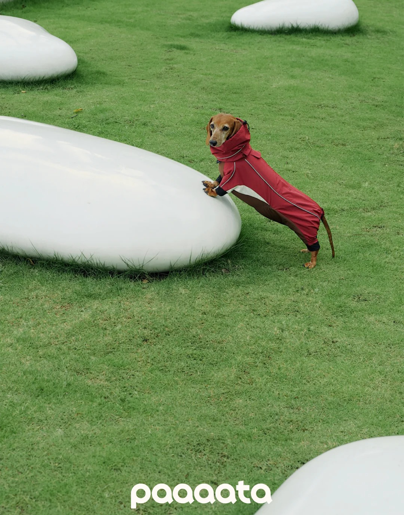 SHORT-LEGGED ALL-WEATHER DOG SUIT