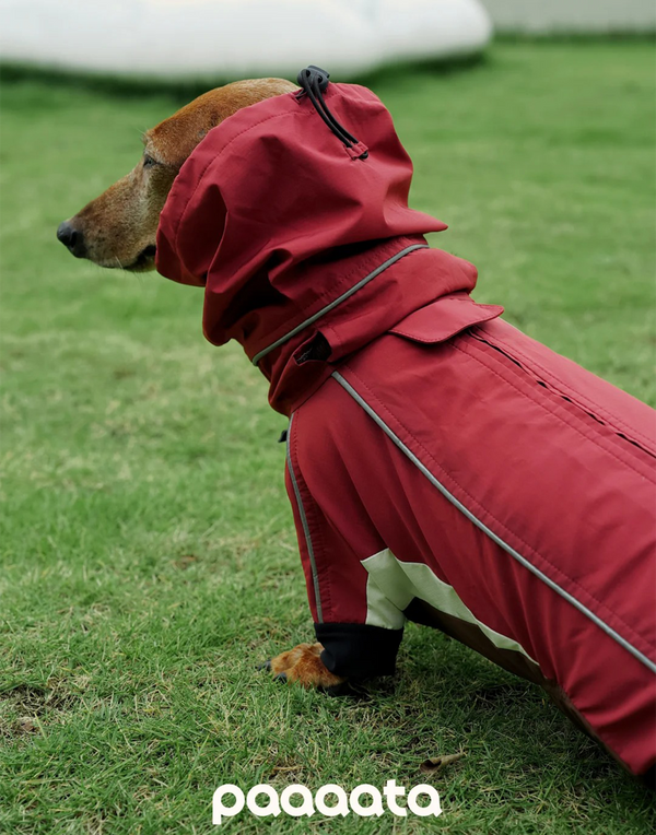 SHORT-LEGGED ALL-WEATHER DOG SUIT