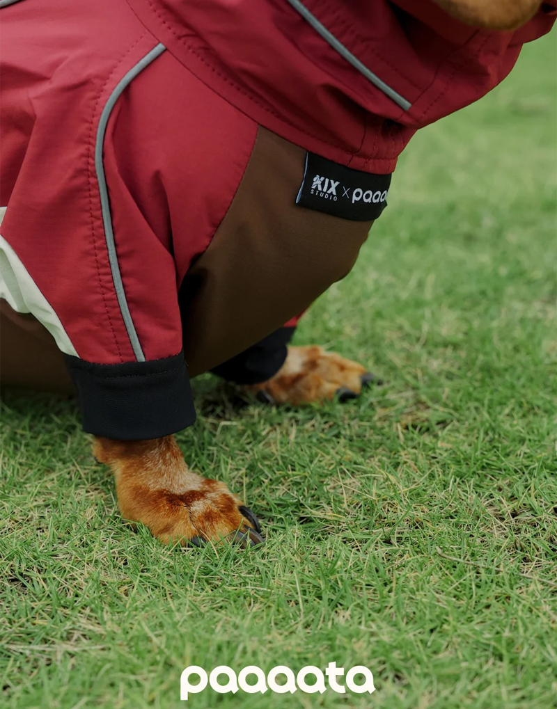 SHORT-LEGGED ALL-WEATHER DOG SUIT