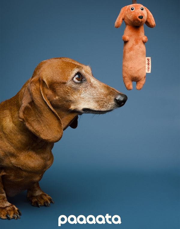 PLUSH SAUSAGE DOG CHARM