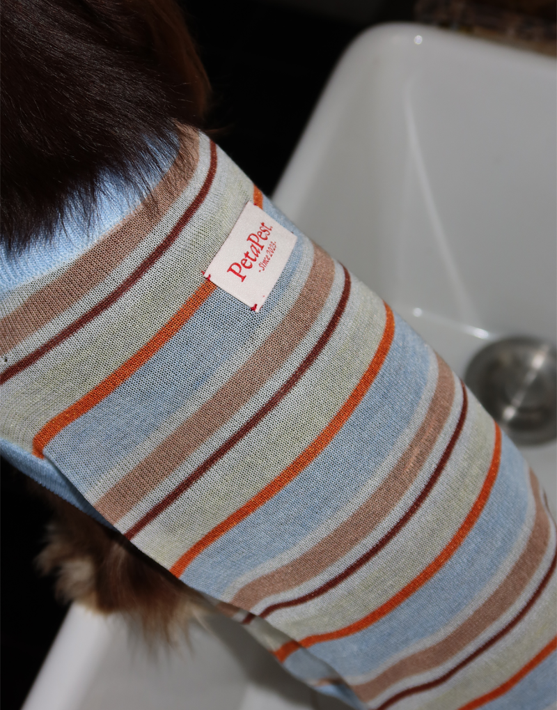 PASTEL STRIPED KNIT TOP