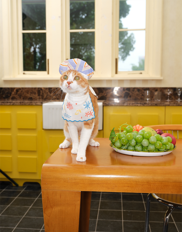 SEASIDE CHEF HAT & BIB