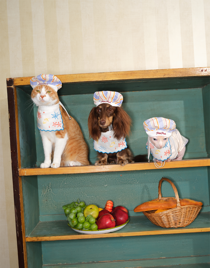 SEASIDE CHEF HAT & BIB