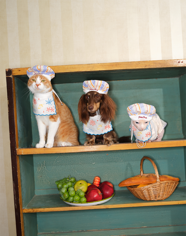 SEASIDE CHEF HAT & BIB