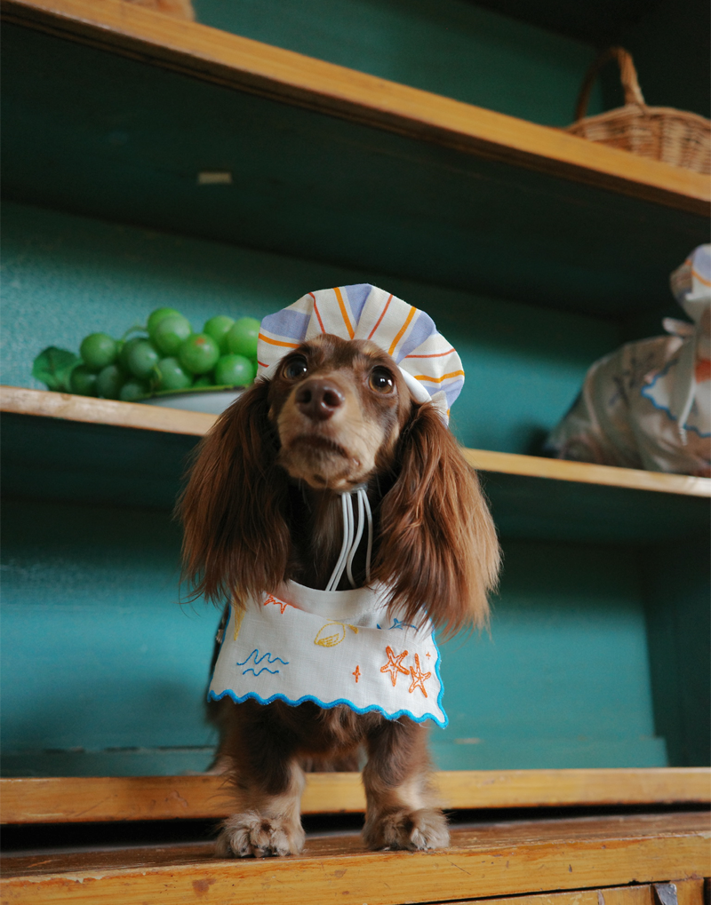 SEASIDE CHEF HAT & BIB