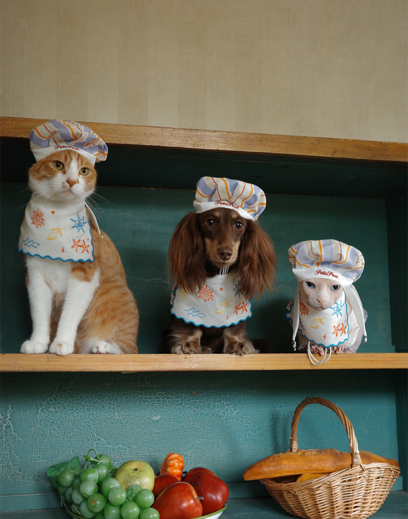 SEASIDE CHEF HAT & BIB