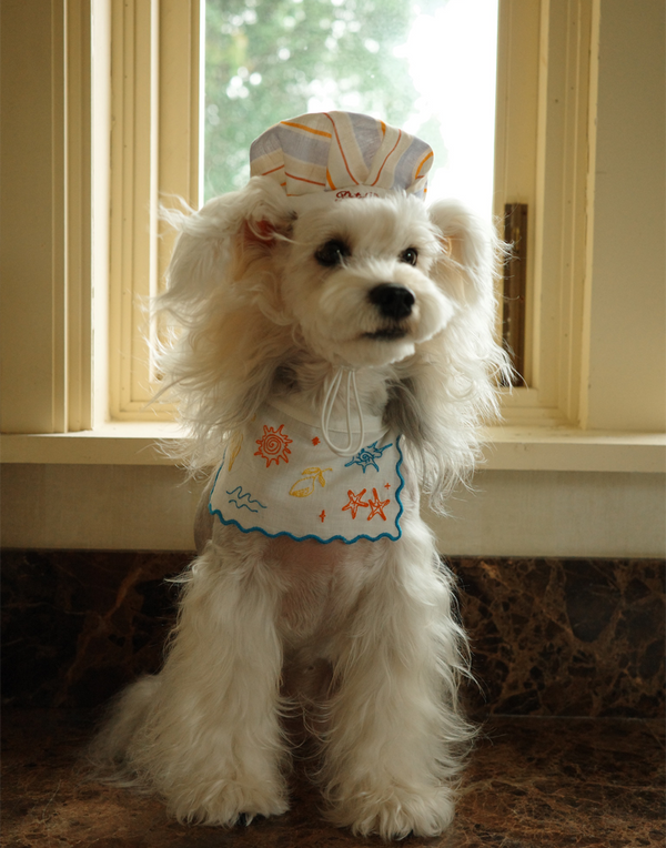 SEASIDE CHEF HAT & BIB