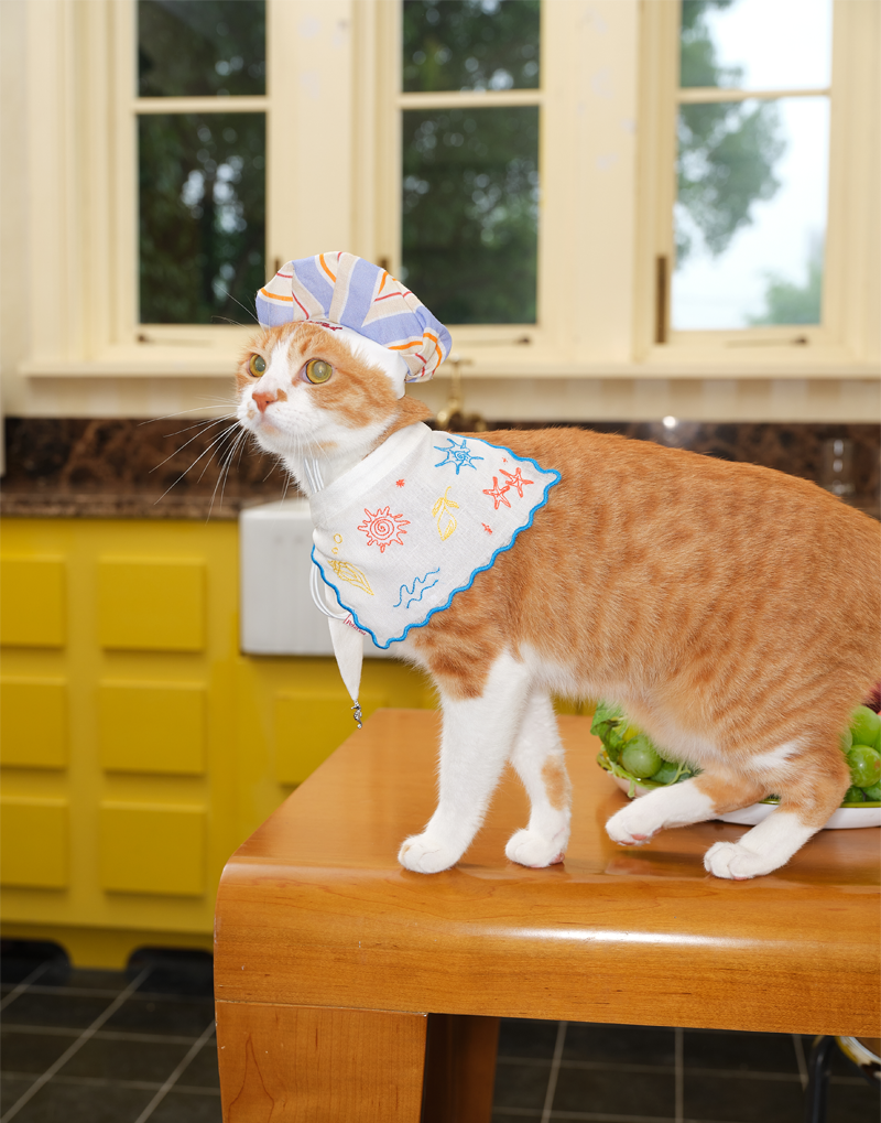 SEASIDE CHEF HAT & BIB