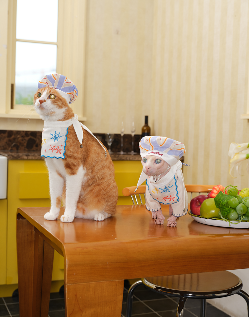 SEASIDE CHEF HAT & BIB