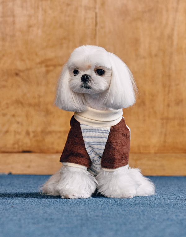 PLUSH STRIPED TURTLENECK TOP