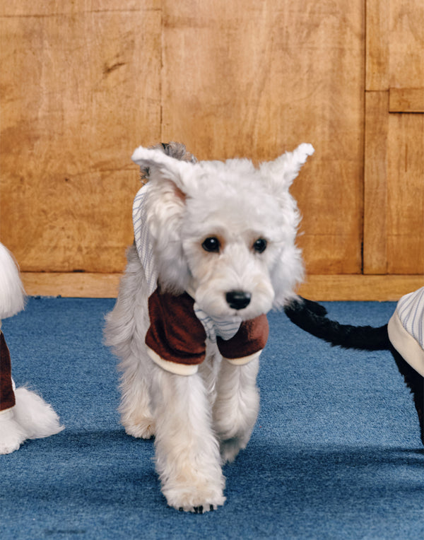 PLUSH STRIPED TURTLENECK TOP