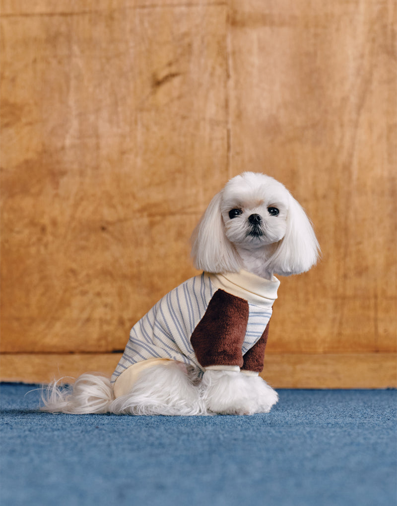 PLUSH STRIPED TURTLENECK TOP