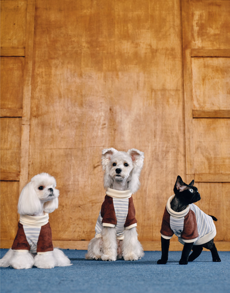 PLUSH STRIPED TURTLENECK TOP