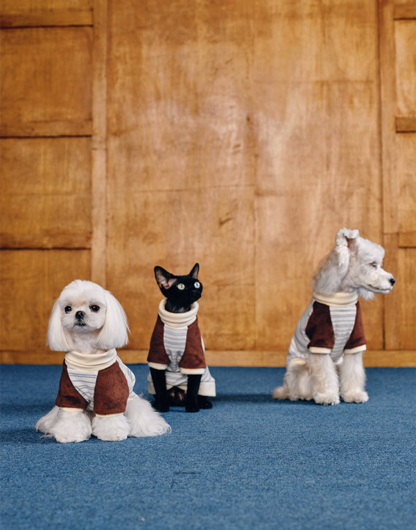 PLUSH STRIPED TURTLENECK TOP