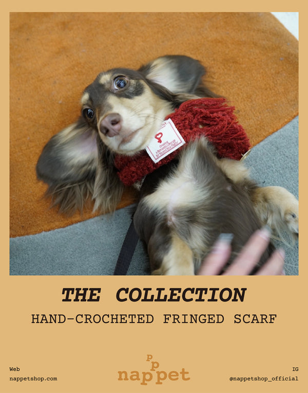 HAND-CROCHETED FRINGED SCARF