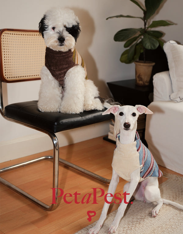 VELVET & FAUX FUR STRIPED TURTLENECK VEST