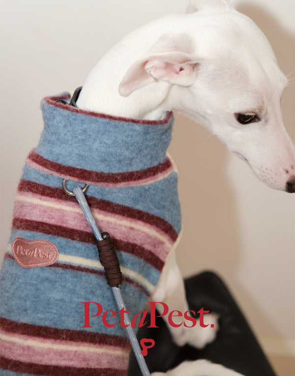 VELVET & FAUX FUR STRIPED TURTLENECK VEST