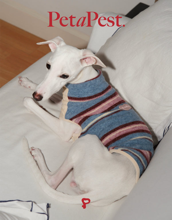 VELVET & FAUX FUR STRIPED TURTLENECK VEST