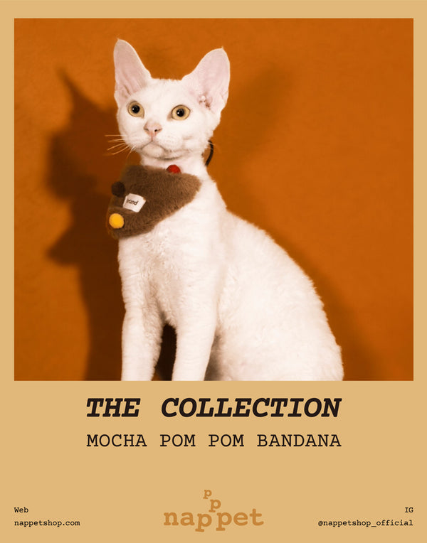 MOCHA POM POM BANDANA