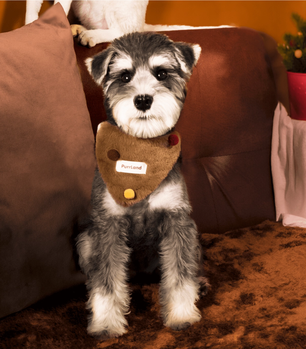 MOCHA POM POM BANDANA